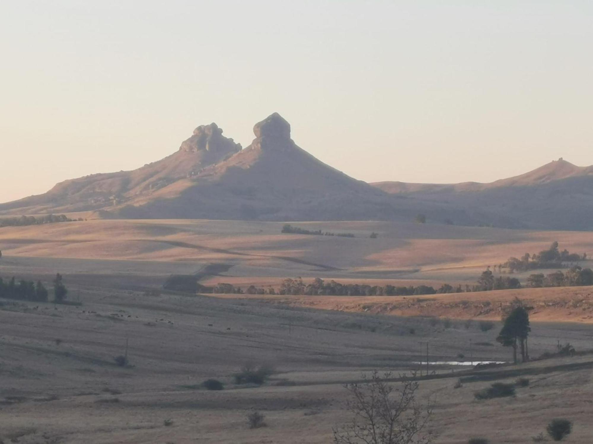 Oban Farm Stay Van Reenen Exterior photo