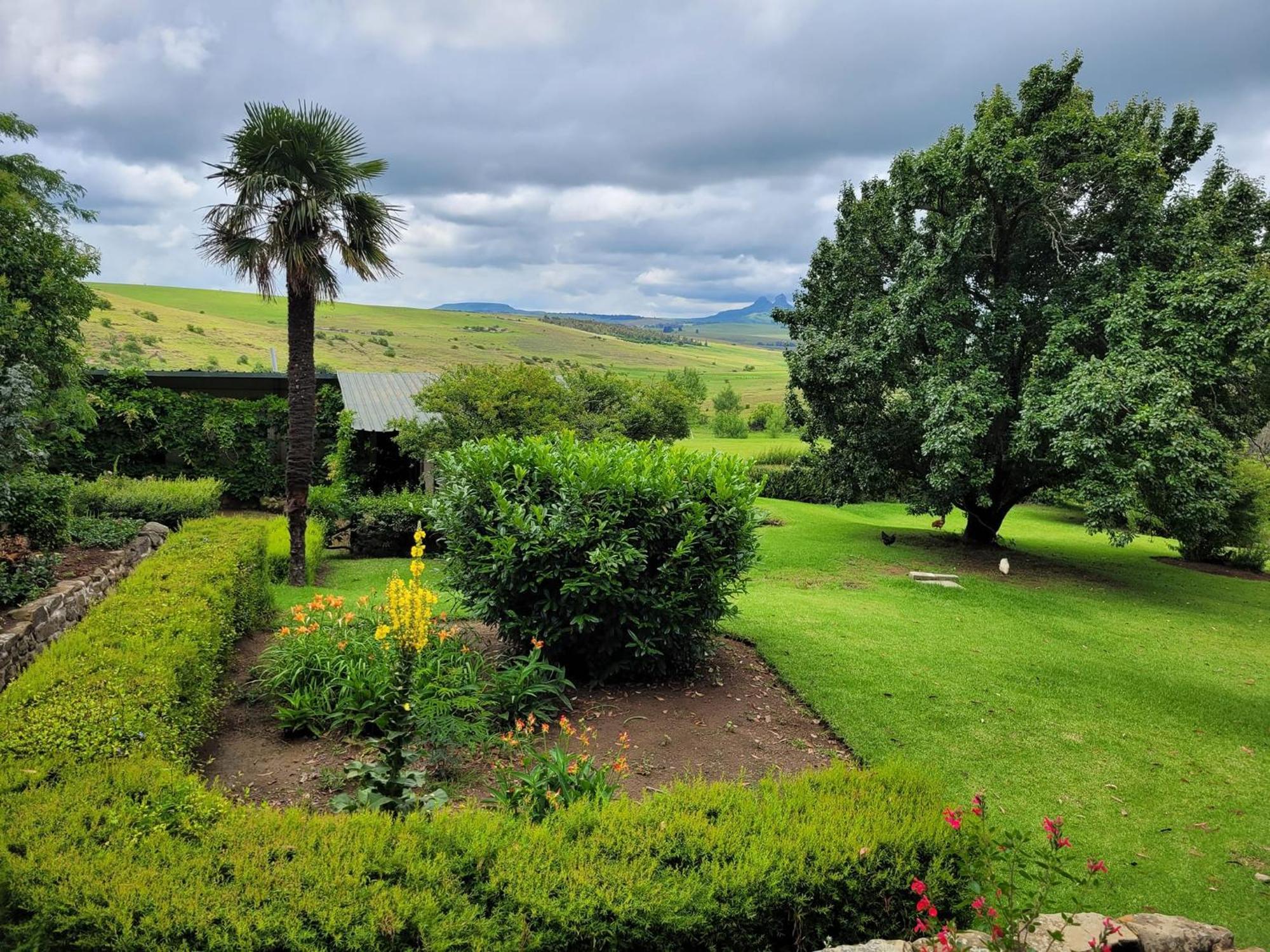 Oban Farm Stay Van Reenen Exterior photo