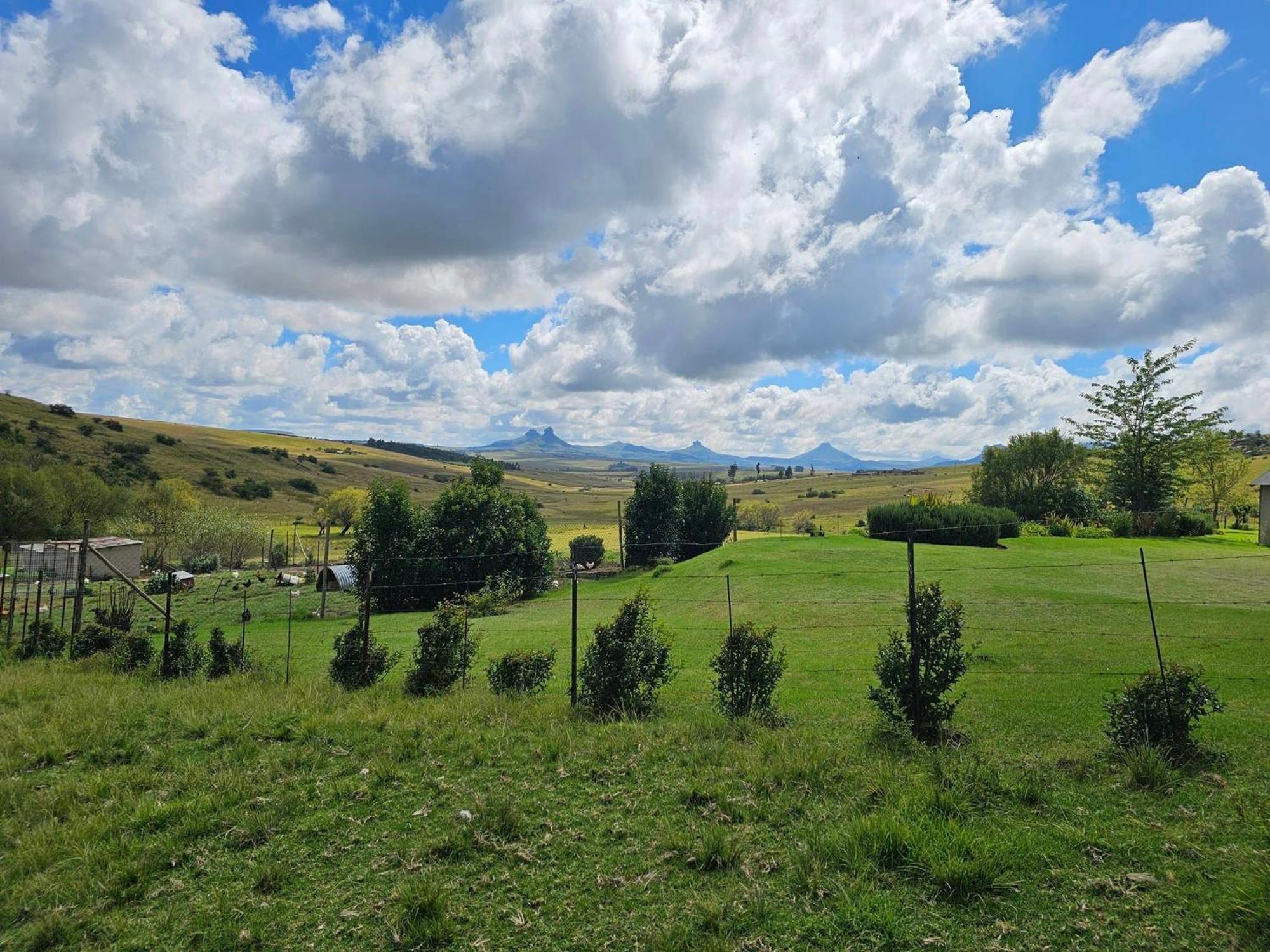 Oban Farm Stay Van Reenen Exterior photo