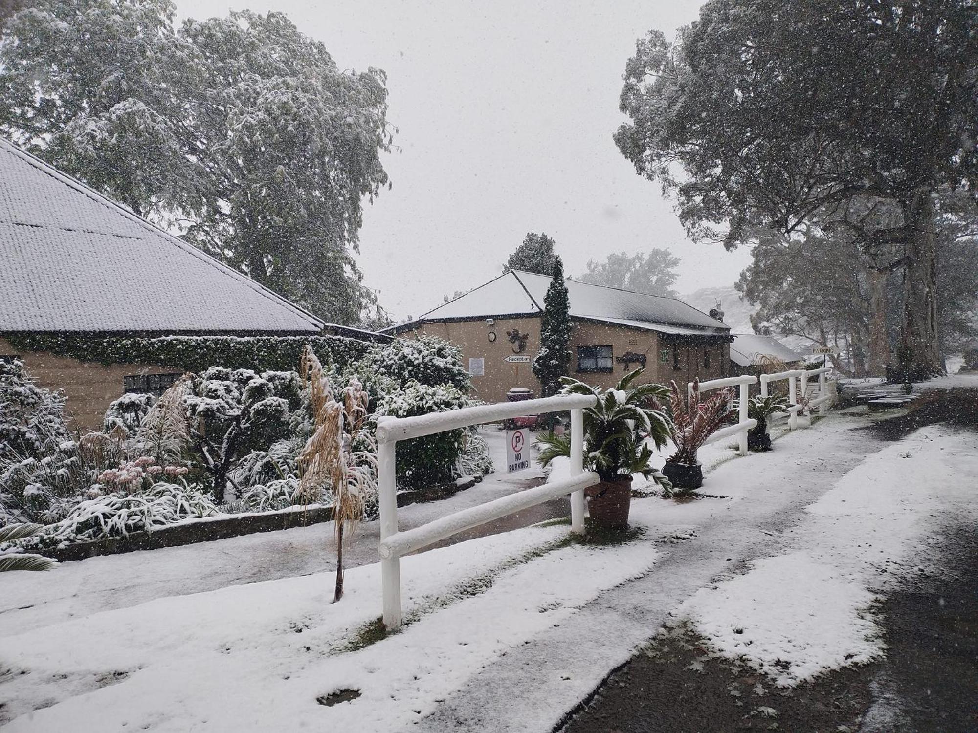 Oban Farm Stay Van Reenen Exterior photo